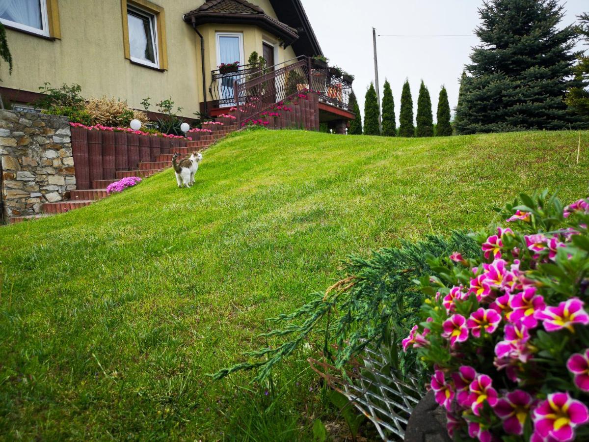 Swierkowy Zakatek Gorno  Exterior photo